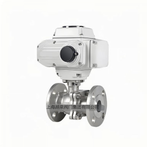 上海湖泉Q941F-10 DN65智能一體型電動球閥